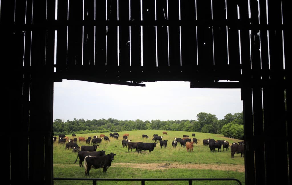 A large data center complex rising beside traditional farmland under a wide sky